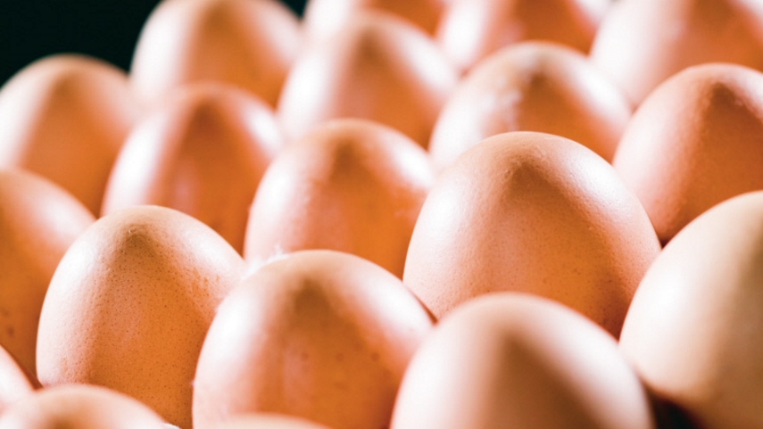 Fipronil in bewerkte producten